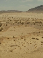 ftwd214_1210.jpg