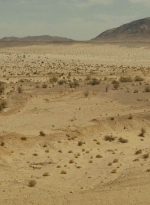 ftwd214_1211.jpg
