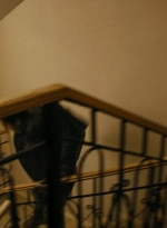 ftwd214_1405.jpg