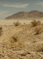 ftwd214_1809.jpg