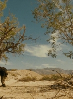 ftwd214_1877.jpg