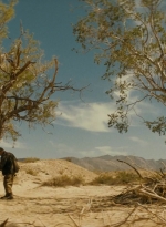 ftwd214_1878.jpg