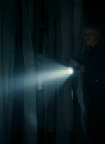 ftwd215_1743.jpg