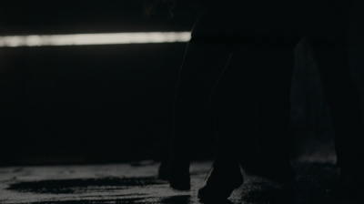 ftwd301_1898.jpg