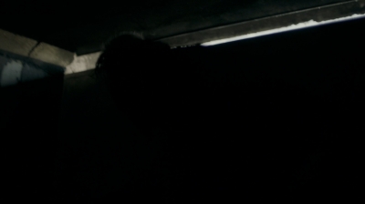 ftwd301_1910.jpg