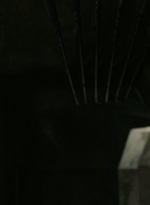 ftwd301_1754.jpg