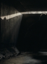 ftwd301_1902.jpg