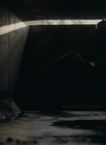 ftwd301_1903.jpg