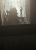 ftwd301_2299.jpg