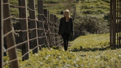 ftwd302_1076.jpg