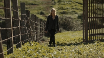 ftwd302_1078.jpg