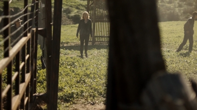 ftwd302_1080.jpg