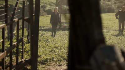 ftwd302_1081.jpg