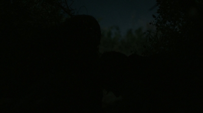 ftwd302_1541.jpg