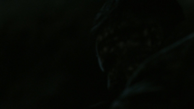 ftwd302_1567.jpg