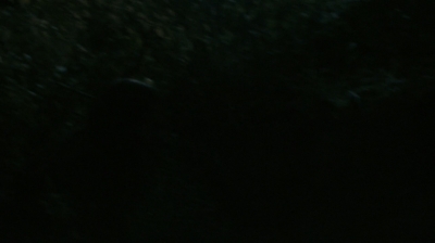 ftwd302_1582.jpg