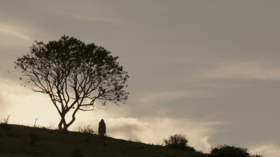 ftwd302_2705.jpg