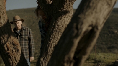 ftwd302_2745.jpg