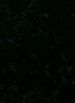 ftwd302_0200.jpg