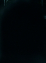 ftwd302_0288.jpg