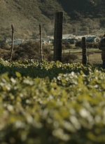 ftwd302_0980.jpg