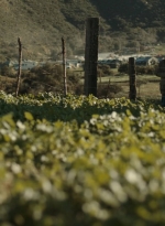 ftwd302_0982.jpg