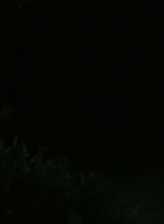 ftwd302_1531.jpg