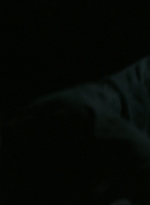 ftwd302_1542.jpg