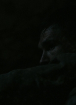 ftwd302_1553.jpg