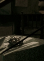 ftwd302_1891.jpg