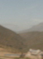 ftwd302_2320.jpg