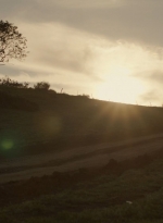 ftwd302_2736.jpg