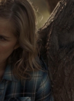 ftwd302_2886.jpg
