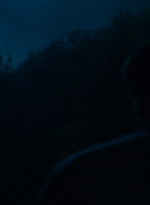 ftwd303_2403.jpg
