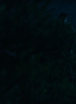 ftwd303_2406.jpg