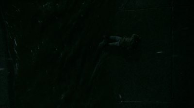 ftwd304_1268.jpg
