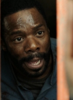 ftwd304_2329.jpg