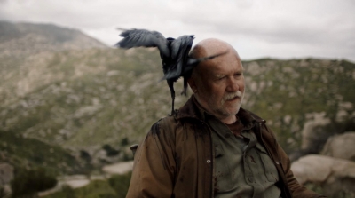 ftwd305_1891.jpg