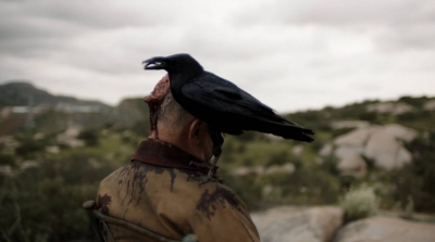 ftwd305_1901.jpg
