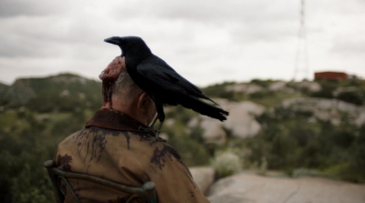 ftwd305_1902.jpg
