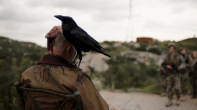 ftwd305_1903.jpg