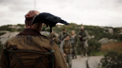 ftwd305_1907.jpg