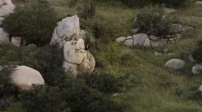 ftwd305_2011.jpg