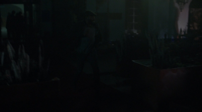 ftwd305_2362.jpg