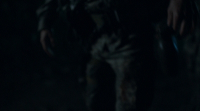 ftwd305_2478.jpg