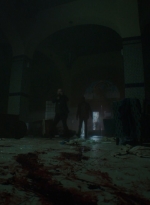 ftwd305_2290.jpg