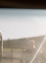ftwd306_1229.jpg