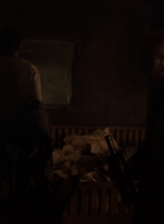 ftwd306_1595.jpg