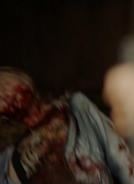 ftwd306_2305.jpg