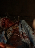 ftwd306_2307.jpg